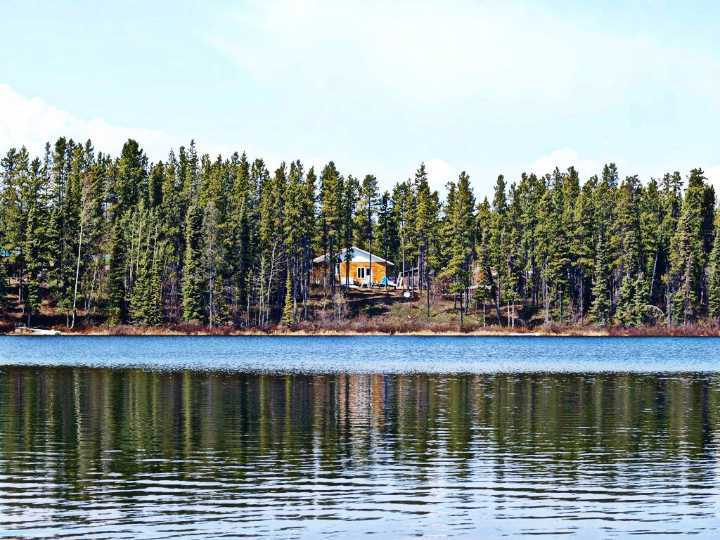 Live Wire, Monday, Oct. 11, 2010 St. Pete Goes for Crist, Plus the